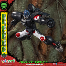 將圖片載入圖庫檢視器 TRANSFORMERS - BEAST WARS AMK Series Optimus Primal Model kit